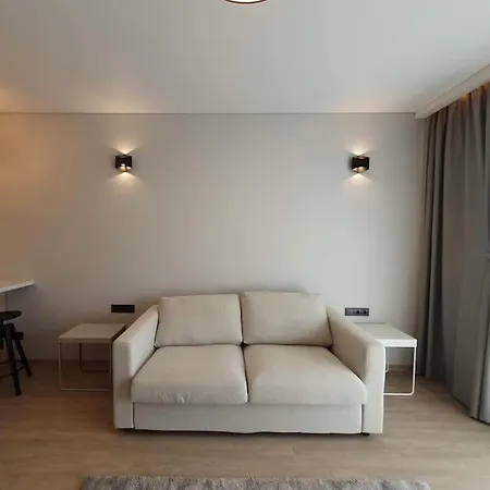 Cozy Flat 911 Vilnius