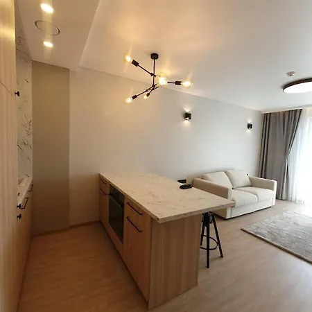 Cozy Flat 911 Apartment