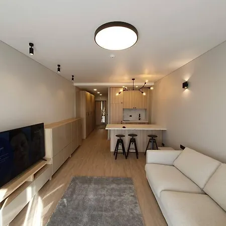 Cozy Flat 911 * Vilnius