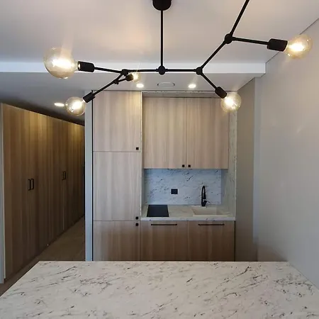 Cozy Flat 911 Lägenhet Vilnius